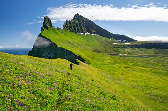 Hornstrandir