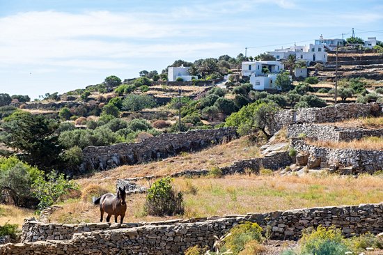 Sifnos