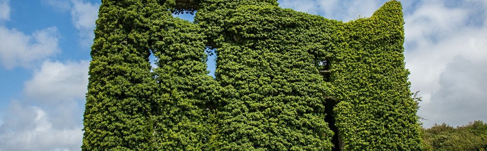 Admirez le Menlo Castle, dévoré par la verdure