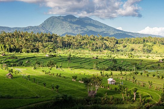 Tirta Gangga (Bali)
