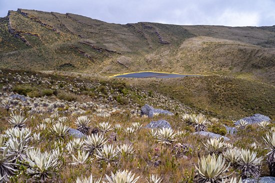 Parc national naturel de Chingaza