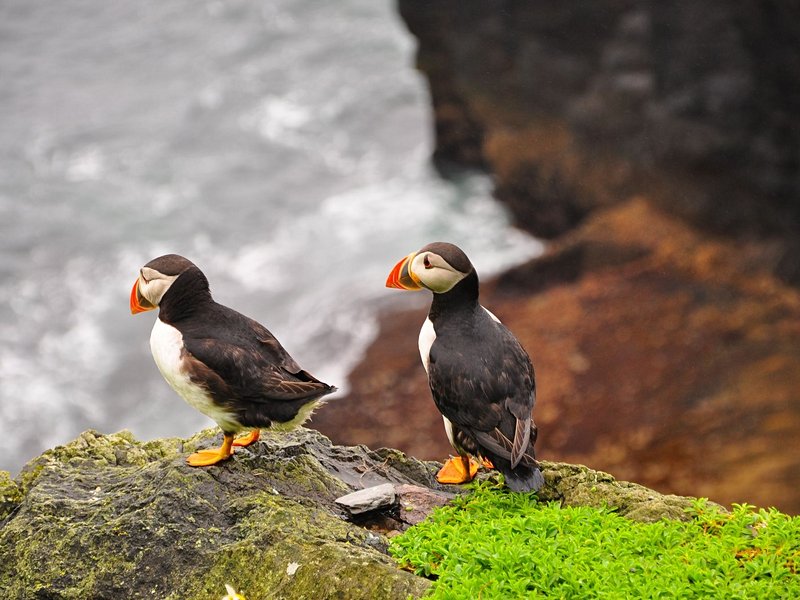 Skellig Michael