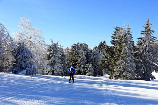 Profiter de la neige en hiver