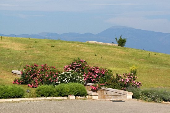 Vergina
