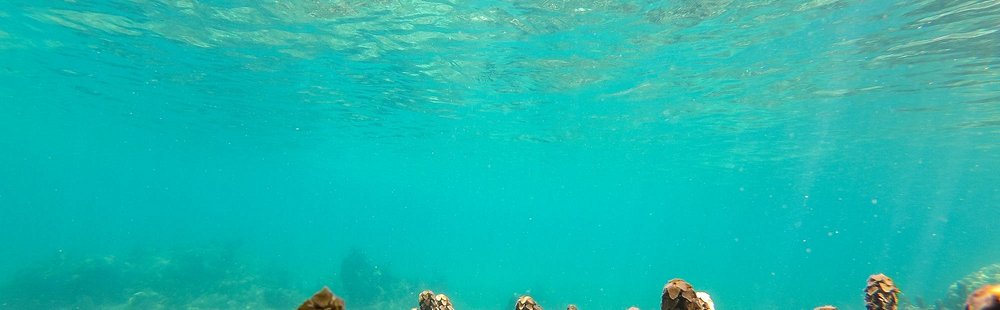 Les plages de Koh Kut