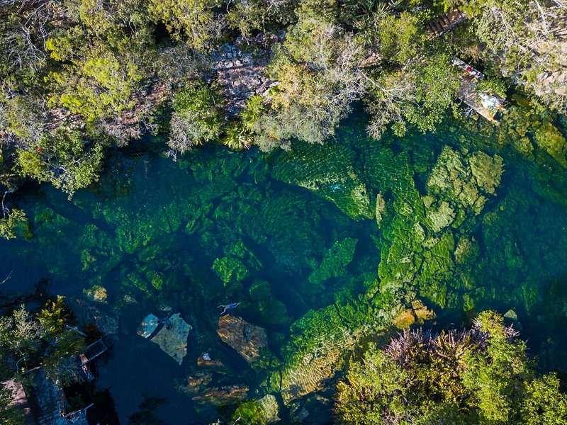 Cenote Jardín del Eden, Playa del Carmen