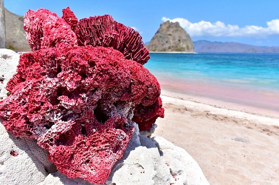 Pink Beach