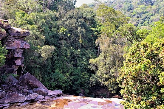 Popokvil