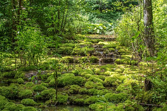 Parc national du karst de Slovaquie