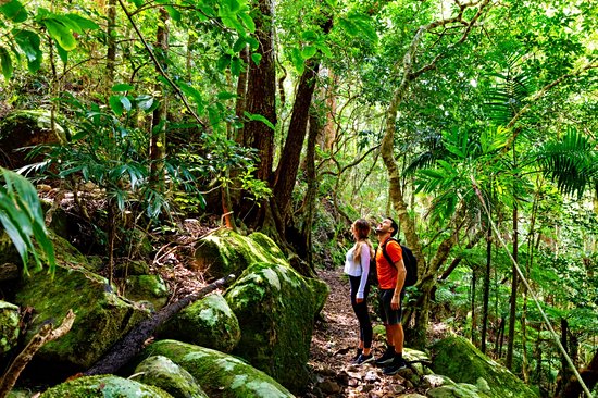 Parc national de Lamington