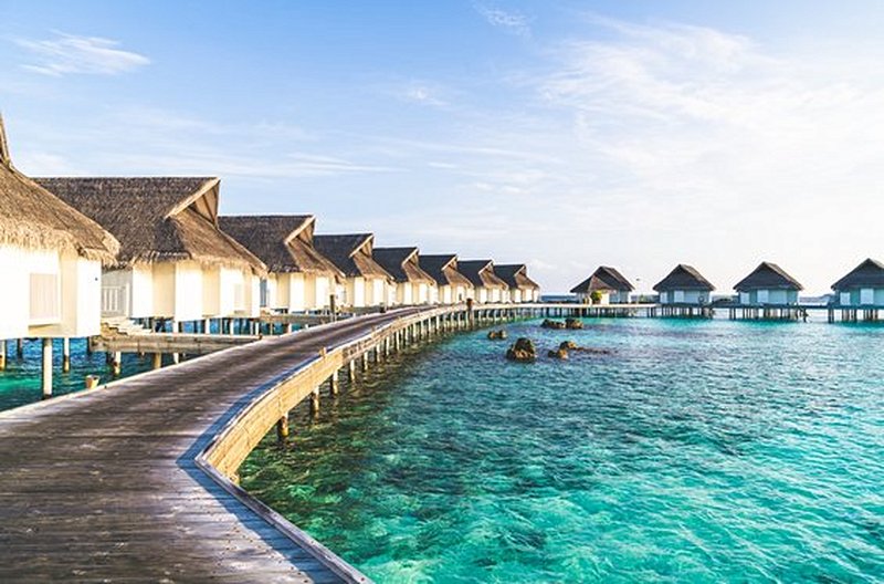 Voir l’envers du décor d’un resort