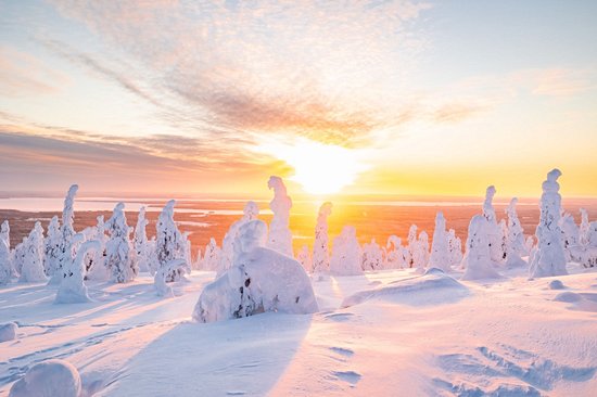 Parc national du Riisitunturi