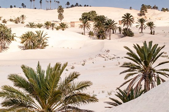 Douz, porte d'entrée du Sahara