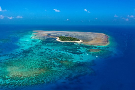 Green Island