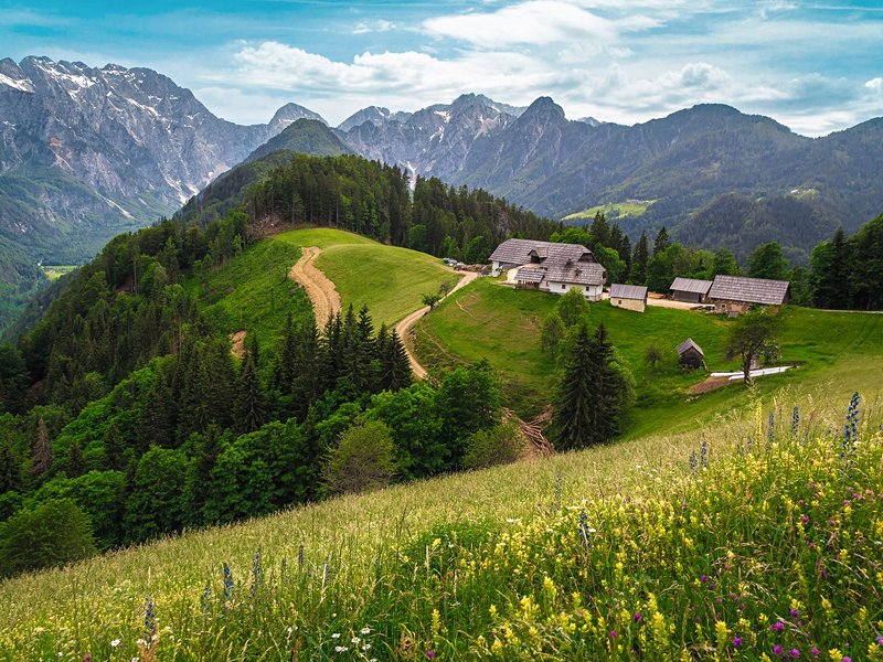 Logarska dolina