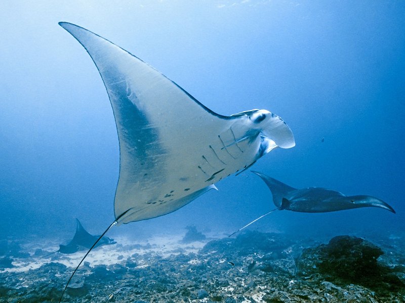 Nusa Penida