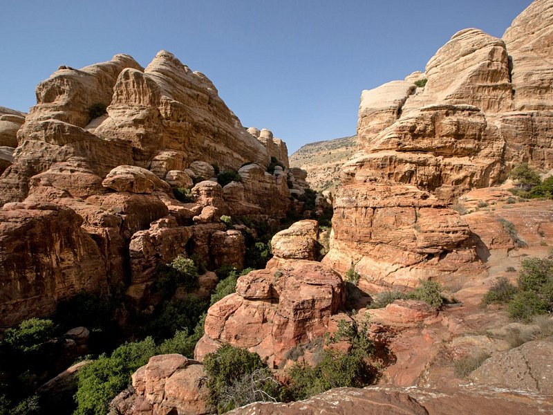 La réserve de Dana