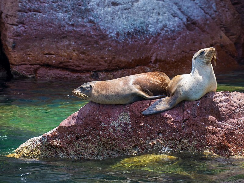 Visiter l’île Espíritu Santo