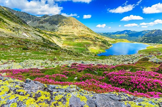 Parc national Retezat