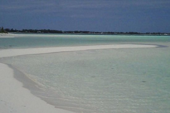 Shark Creek Beach