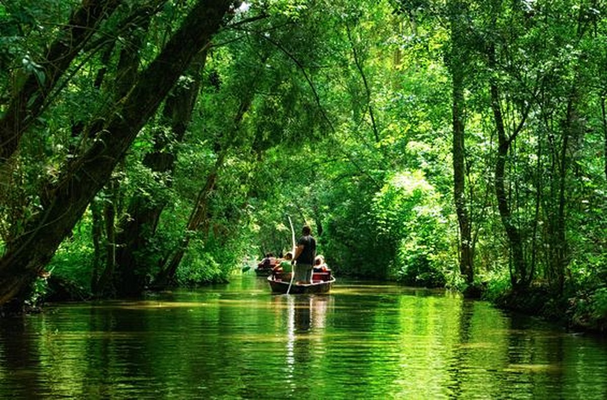 Se mettre au vert dans le marais poitevin