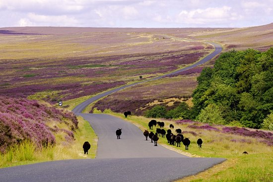 Parc national des North York Moors