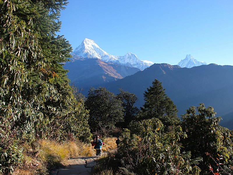 Trek au Langtang