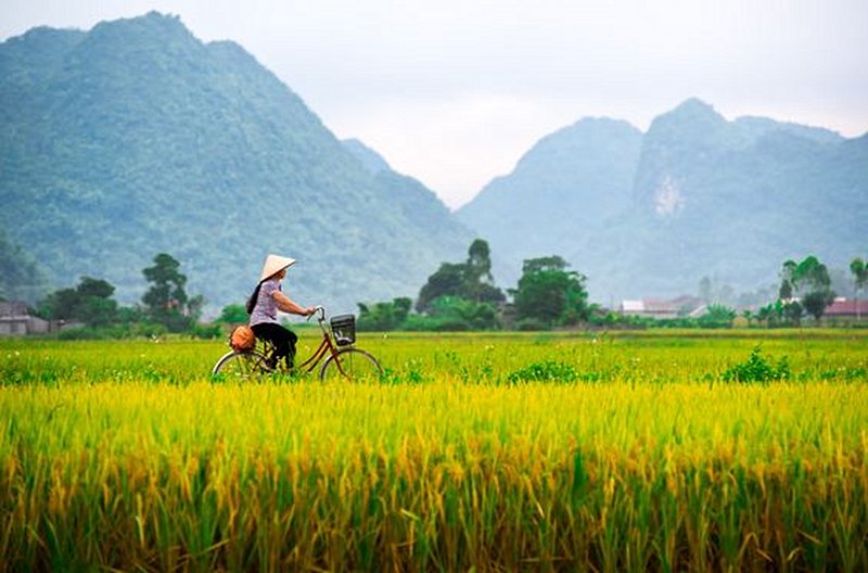 Explorer la campagne vietnamienne en vélo
