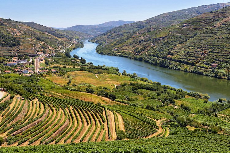Route des vins du Douro - Portugal