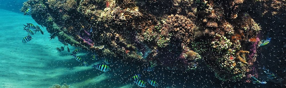 L'épave du Japanese Wreck