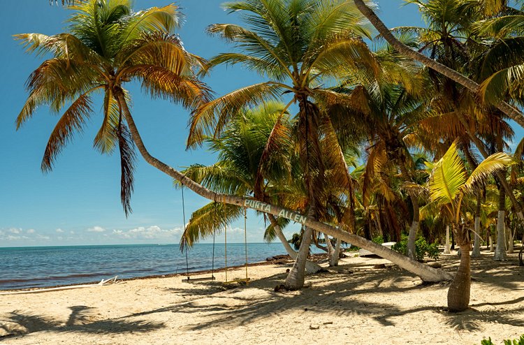 Punta Allen et la réserve de Sian Ka’an 2