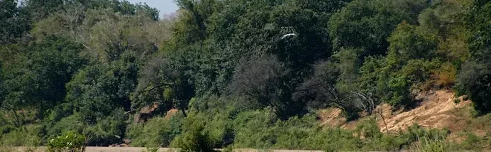 Le parc national du Badiar