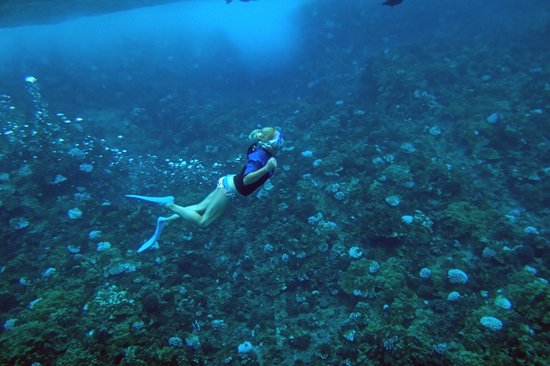 Le Molokini Crater