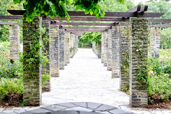 Les serres fantastiques du Botanic Belfast Gardens