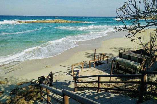 Fig Tree Bay