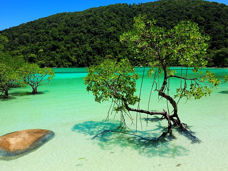 Mu Ko Surin National Park