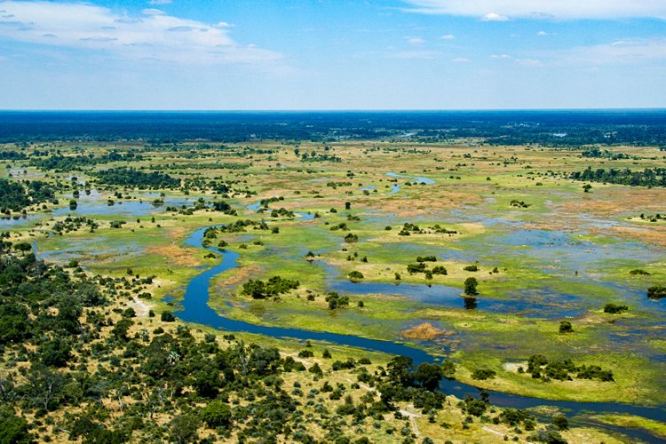 Le delta de l'Okavango 2