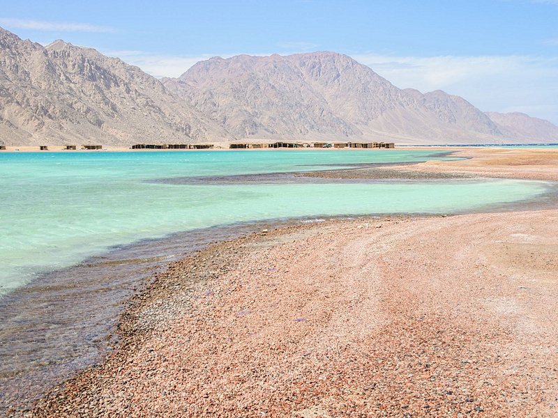 Ras Abou-Galloum, Dahab