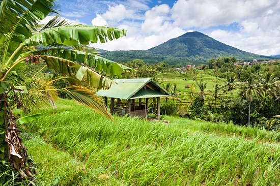 Mont Batukaru