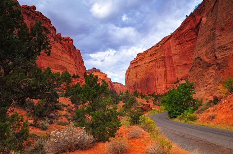 Escalante Monument, Utah 3