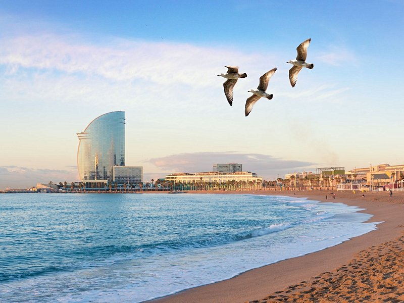 Plage de la Barceloneta