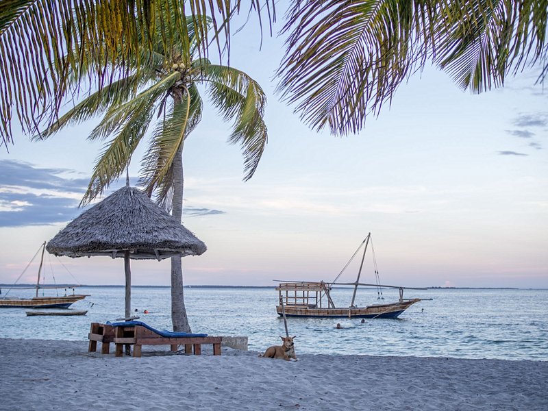 Les plages de Mafia Island