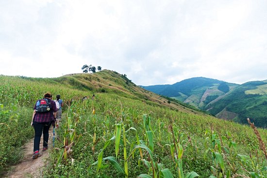 Parc Doi Phu Kha