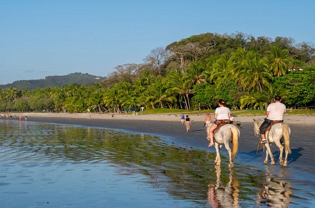 Partir en balade à cheval dans la jungle