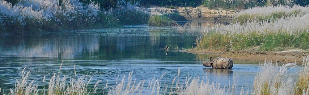 Parc national de Bardia