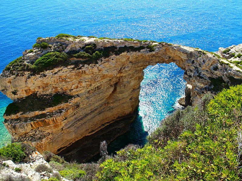 Paxos