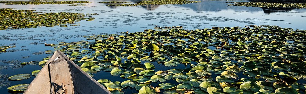 Lac Skadar