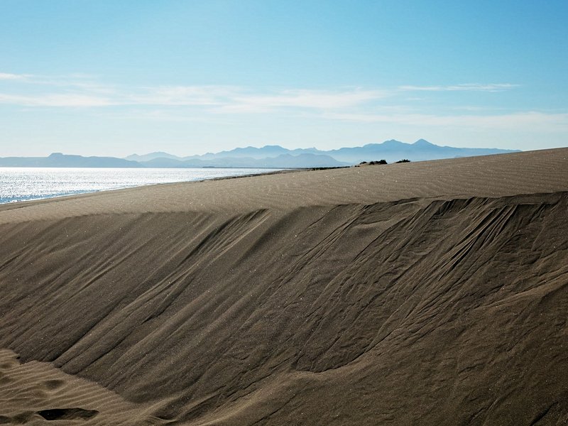 Surfer sur les dunes d'El Mogote