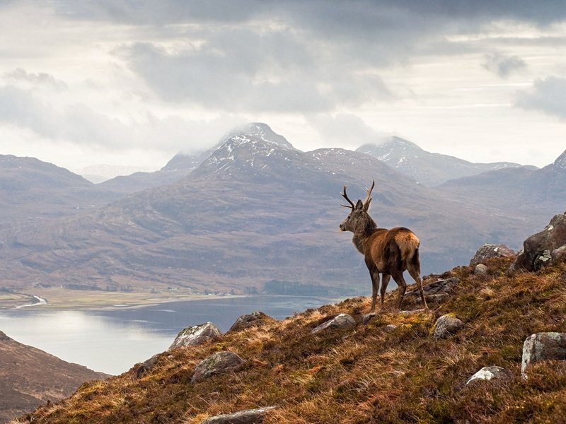 Torridon