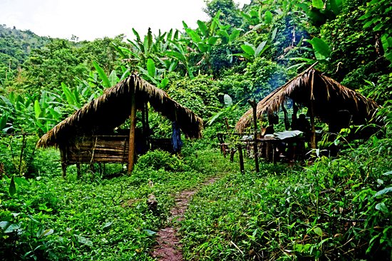 Parc national Nam Ha